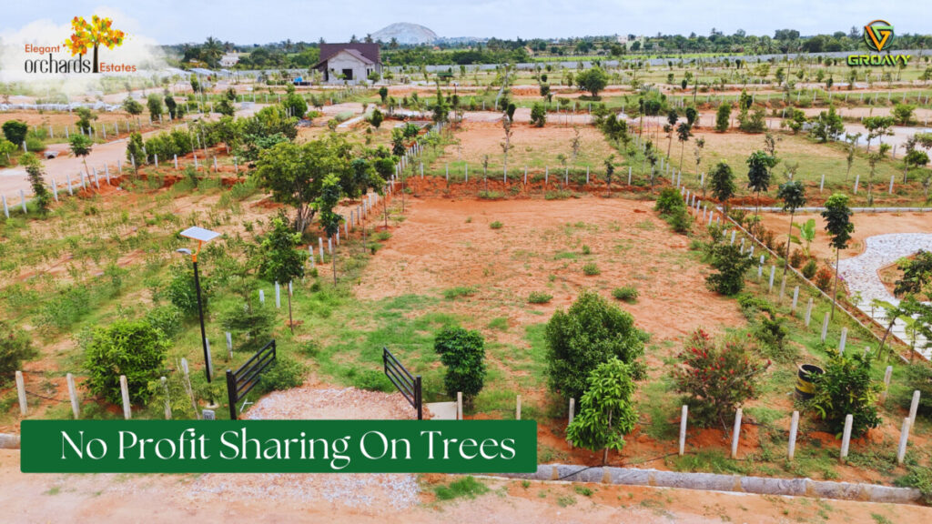 no sharing trees